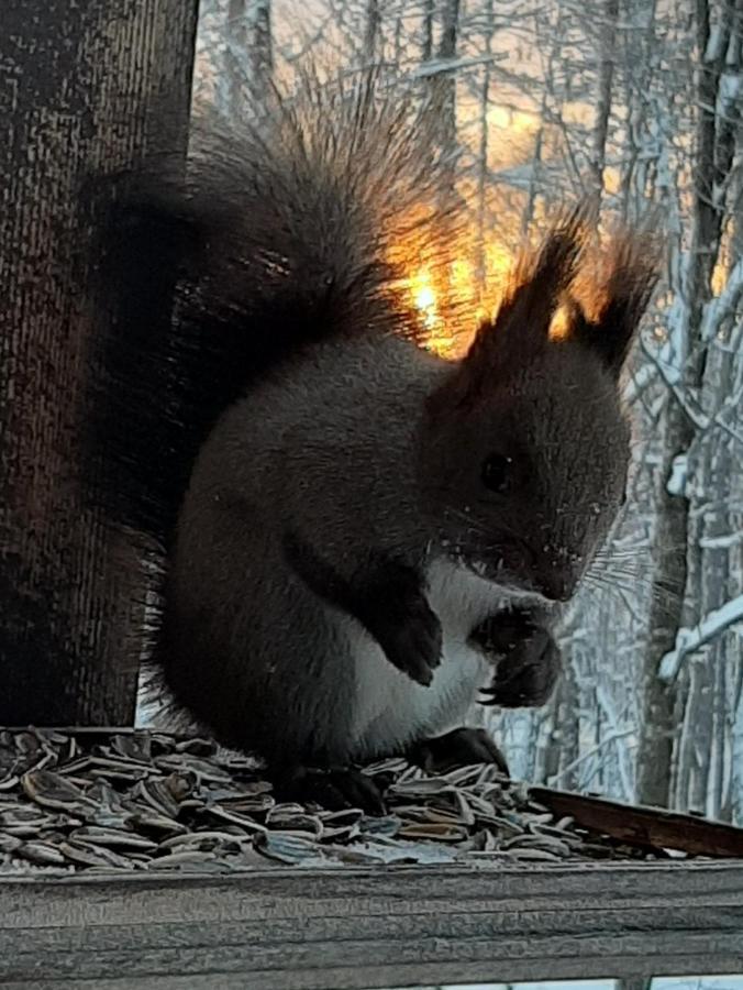 Penzion Ituka Furano E Exteriér fotografie